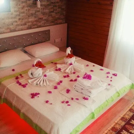 Nuri's Hotel *