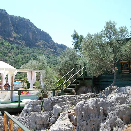 Hotel Nuri's *