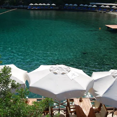 Nuri's Hotel