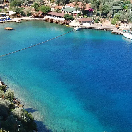 Nuri's * Bayindir (Izmir)