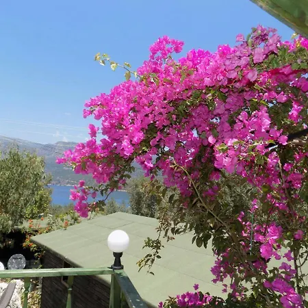 Nuri's Bayindir (Izmir)