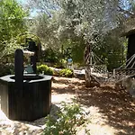 Nuri's Hotel