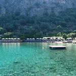 Nuri's *
