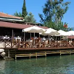 Nuri's