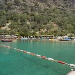 Nuri's