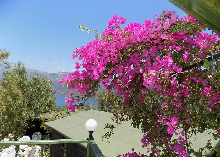 Nuri's Bayindir (Izmir)